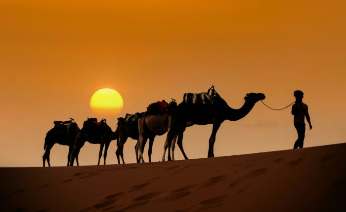 3 Days Tour Marrakech To Merzouga