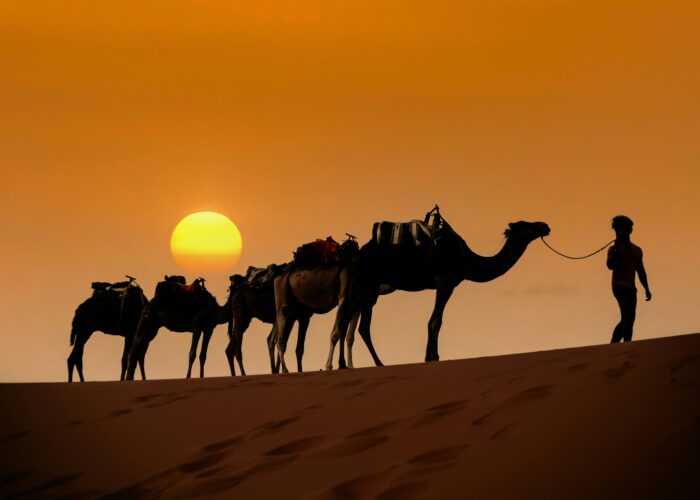 3 Days Tour Marrakech To Merzouga
