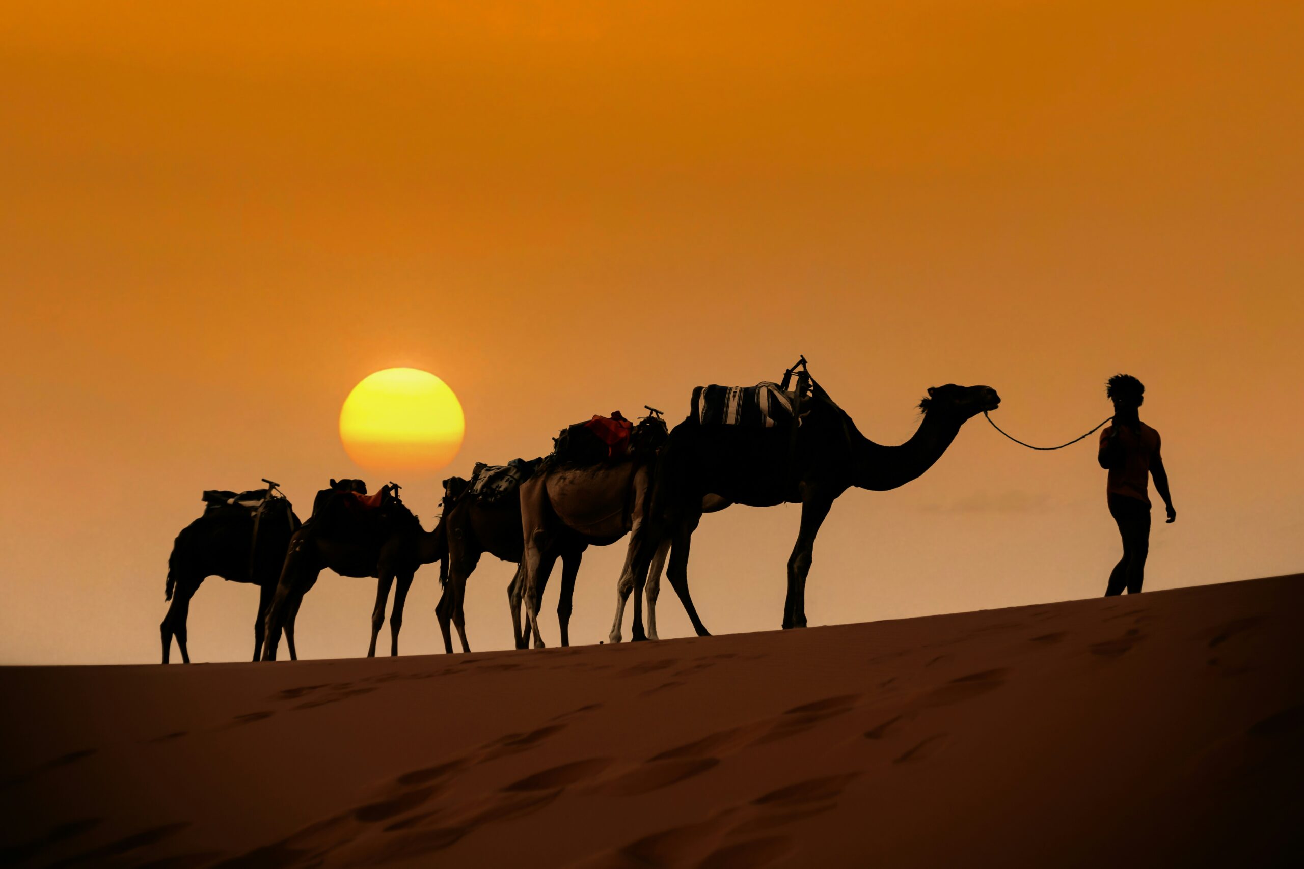 3 Days Tour Marrakech To Merzouga