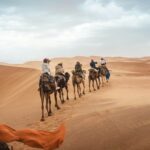 4 Days Desert Tour From Marrakech to Fes