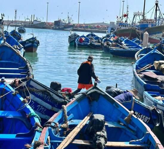 Day Trip To Essaouira From Marrakech
