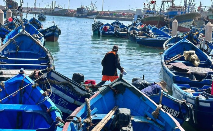 Day Trip To Essaouira From Marrakech
