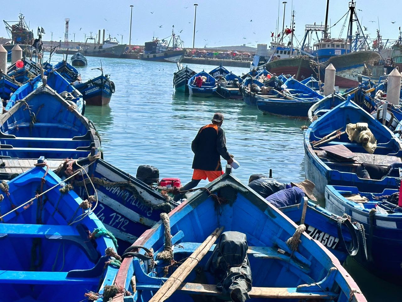 Day Trip To Essaouira From Marrakech