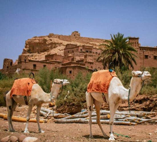 Marrakech to Fes Desert Tour Luxury