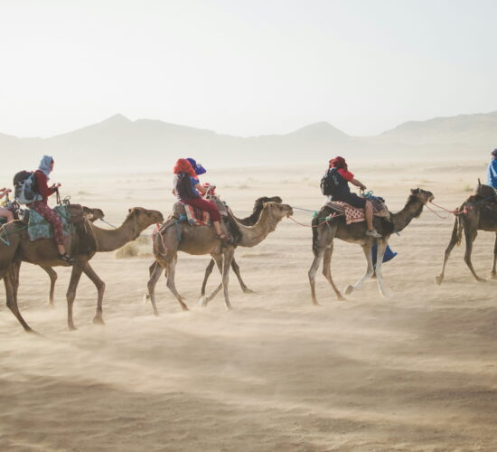 desert tours from casablanca_