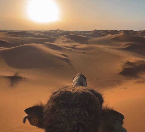 desert trip marrakech to fes​